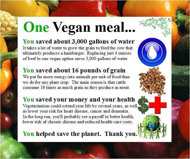 one-vegan-meal-saved-about-3000-gallons-of-water-16-pounds-of-grain-money-health-save-the-planet1.jpg