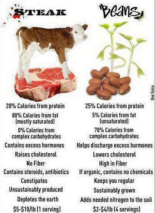 Image result for protein in broccoli vs. steak