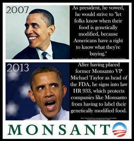 As President He Vowed He Would Strive To Let Folks Know When Their Food Is Genetically Modified