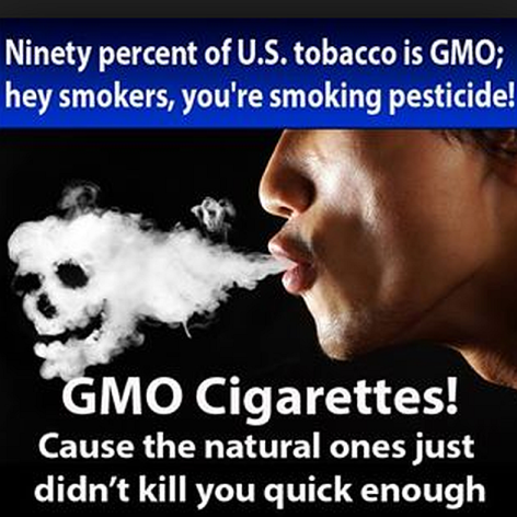 Ninety Percent Of US Tobacco Is GMO