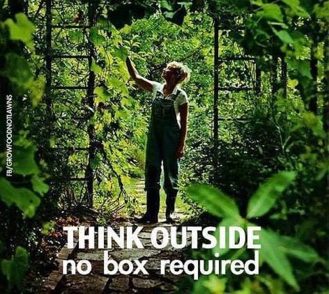 Think Outside No Box Required
