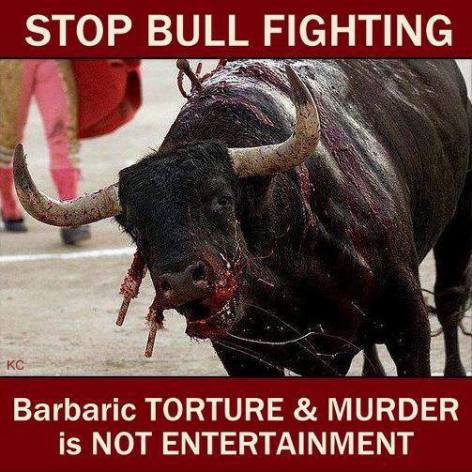 stop bull fighting barbaric torture